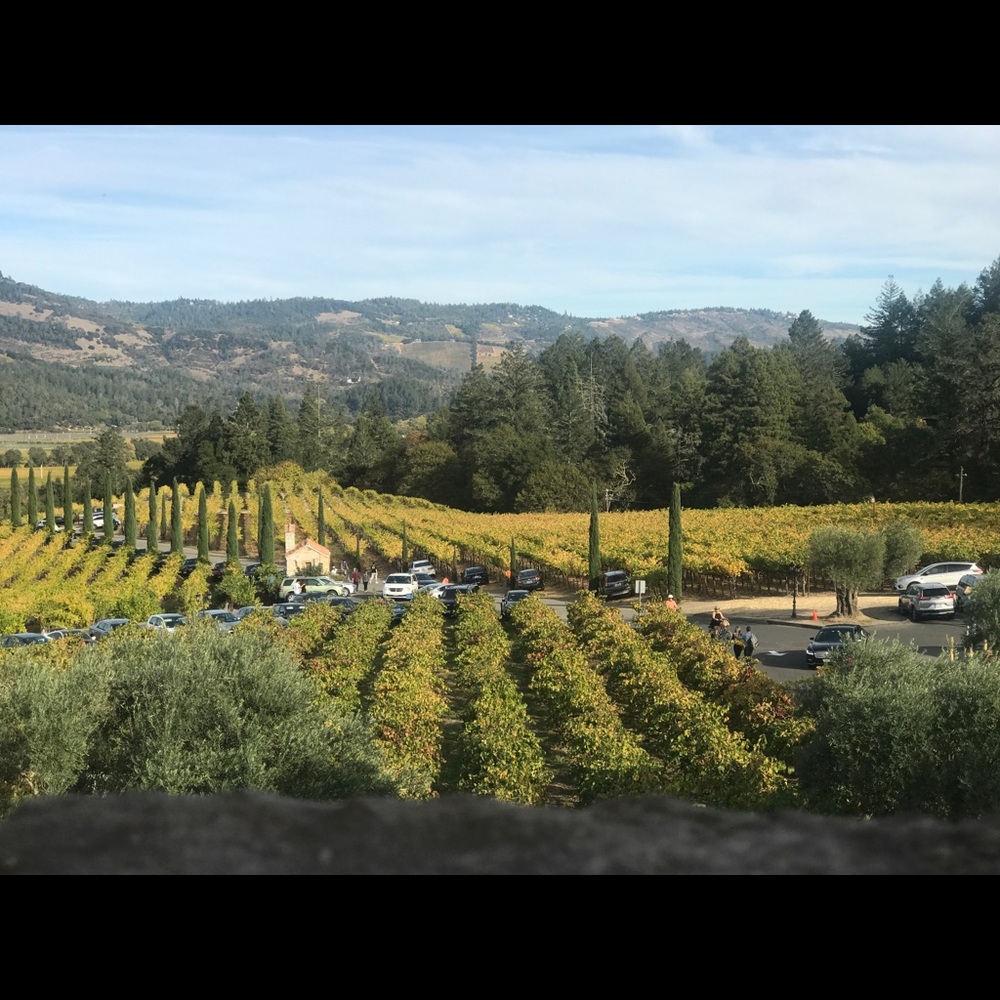 Meet your Posher, Lisaura